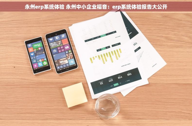 永州erp系统体验 永州中小企业福音：erp系统体验报告大公开