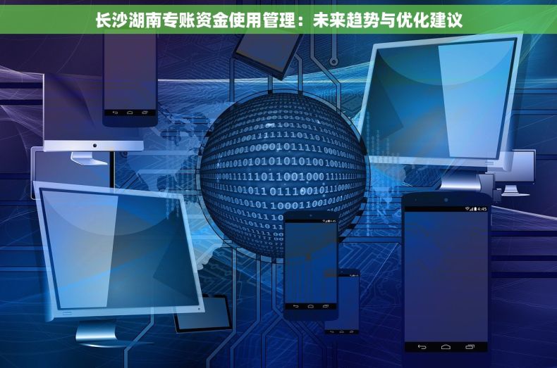 长沙湖南专账资金使用管理：未来趋势与优化建议