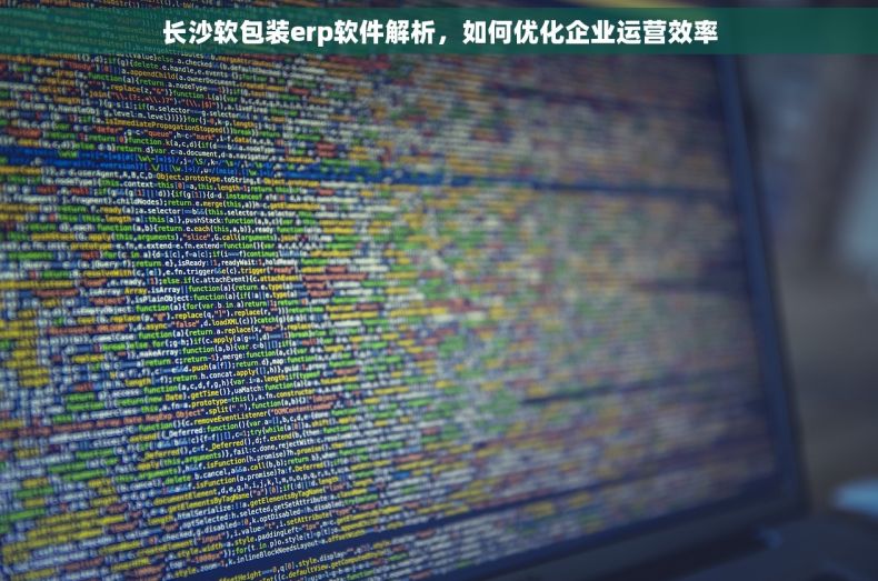 长沙软包装erp软件解析，如何优化企业运营效率