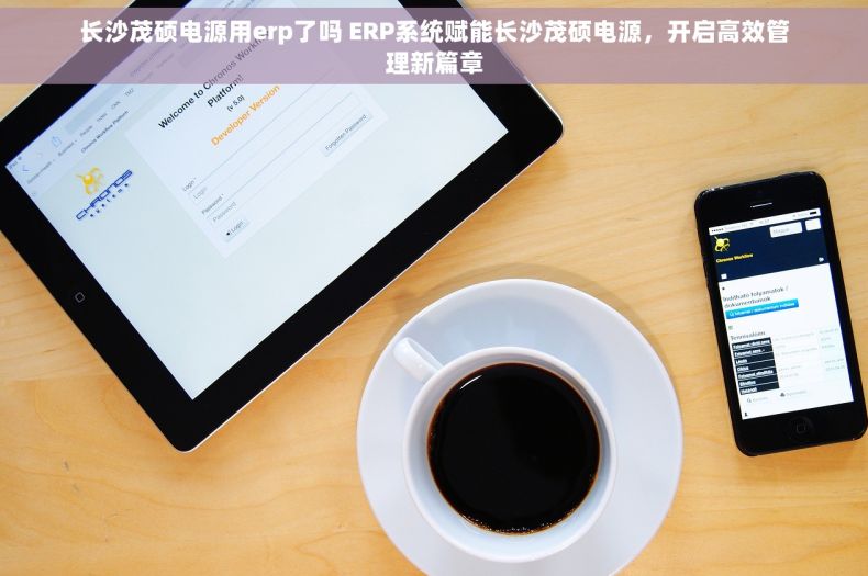 长沙茂硕电源用erp了吗 ERP系统赋能长沙茂硕电源，开启高效管理新篇章