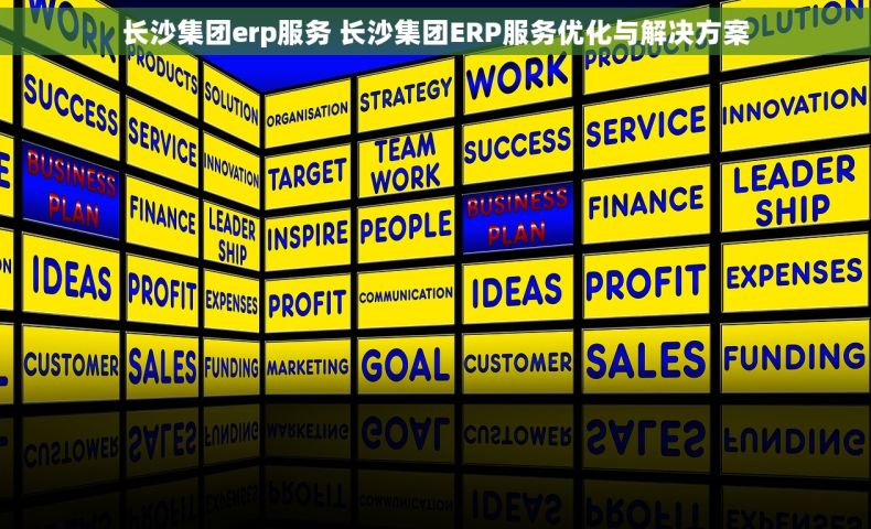 长沙集团erp服务 长沙集团ERP服务优化与解决方案