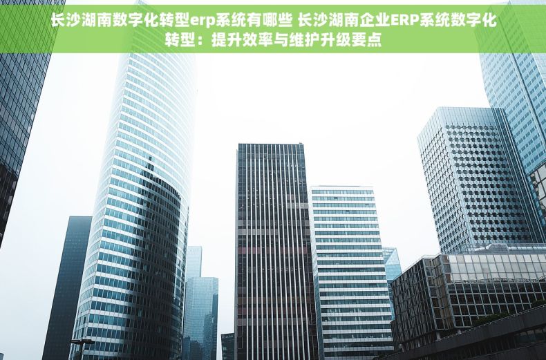 长沙湖南数字化转型erp系统有哪些 长沙湖南企业ERP系统数字化转型：提升效率与维护升级要点