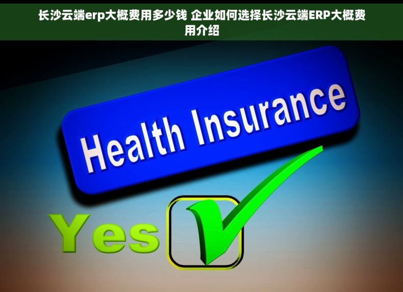 长沙云端erp大概费用多少钱 企业如何选择长沙云端ERP大概费用介绍