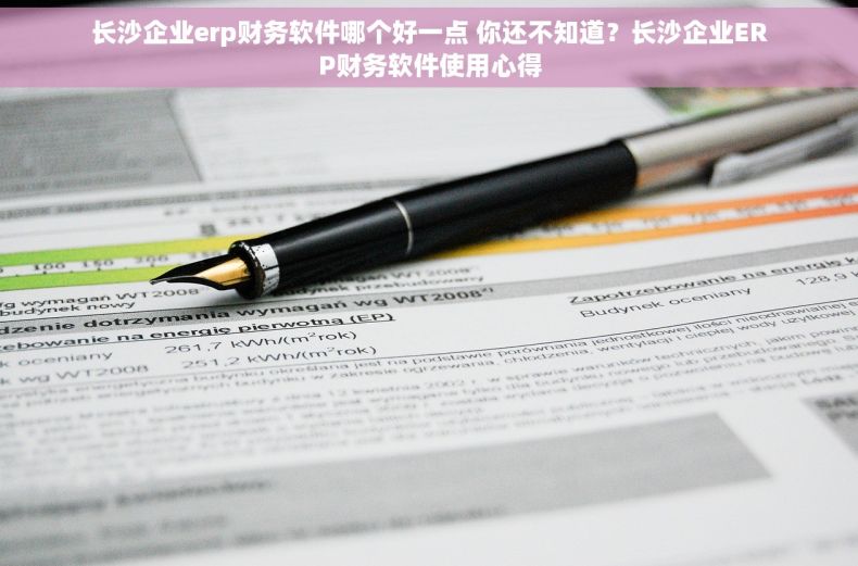 长沙企业erp财务软件哪个好一点 你还不知道？长沙企业ERP财务软件使用心得
