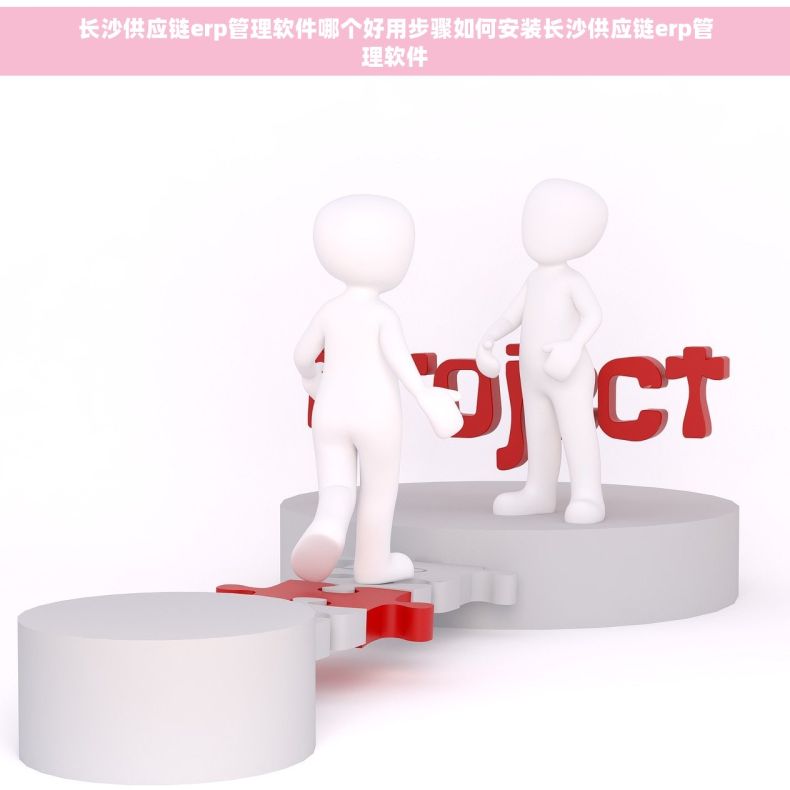 长沙供应链erp管理软件哪个好用步骤如何安装长沙供应链erp管理软件