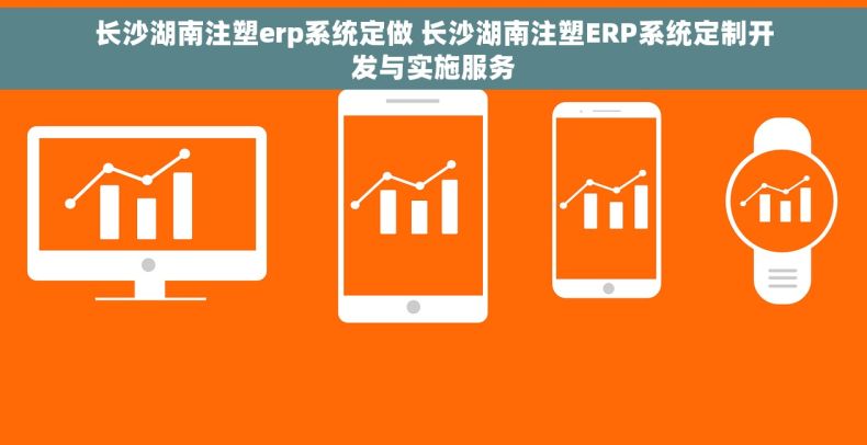 长沙湖南注塑erp系统定做 长沙湖南注塑ERP系统定制开发与实施服务