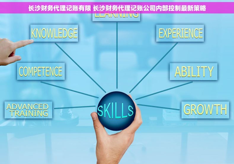 长沙财务代理记账有限 长沙财务代理记账公司内部控制最新策略
