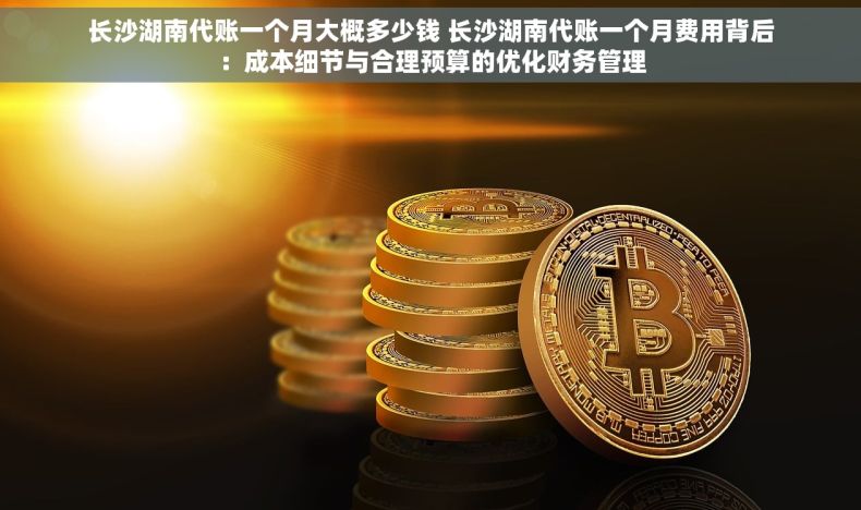长沙湖南代账一个月大概多少钱 长沙湖南代账一个月费用背后：成本细节与合理预算的优化财务管理