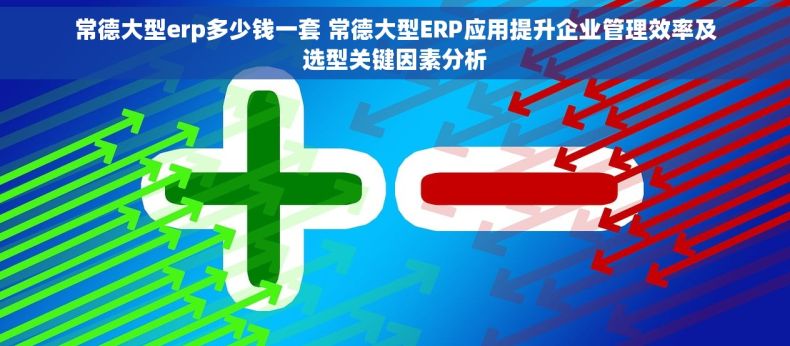 常德大型erp多少钱一套 常德大型ERP应用提升企业管理效率及选型关键因素分析