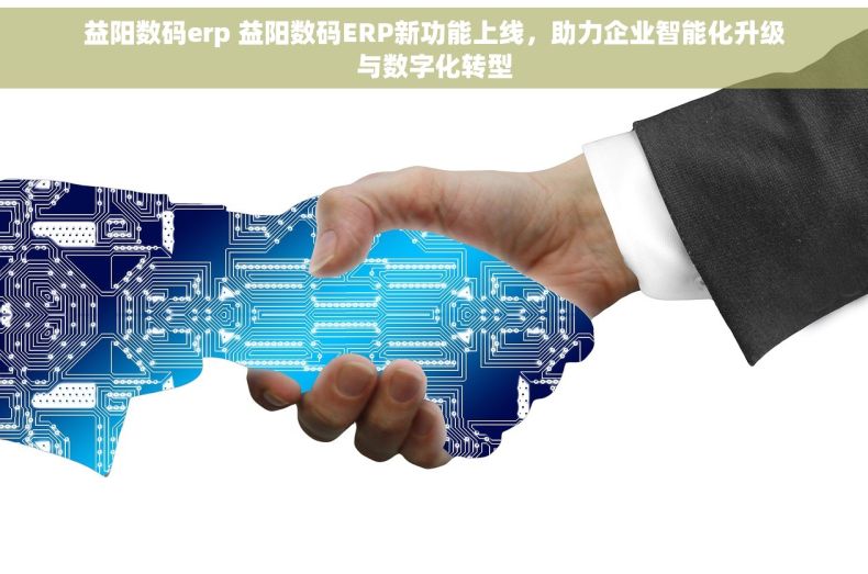 益阳数码erp 益阳数码ERP新功能上线，助力企业智能化升级与数字化转型