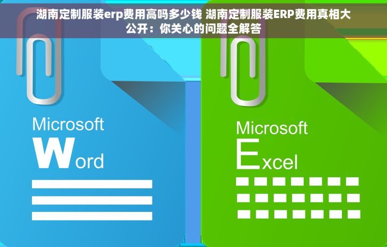 湖南定制服装erp费用高吗多少钱 湖南定制服装ERP费用真相大公开：你关心的问题全解答