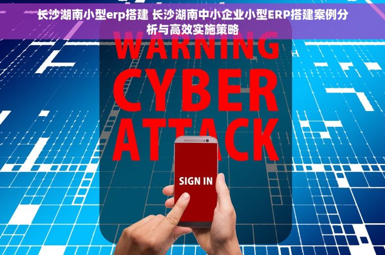 长沙湖南小型erp搭建 长沙湖南中小企业小型ERP搭建案例分析与高效实施策略