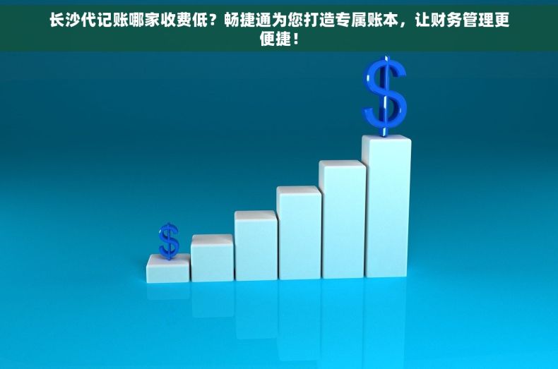 长沙代记账哪家收费低？畅捷通为您打造专属账本，让财务管理更便捷！