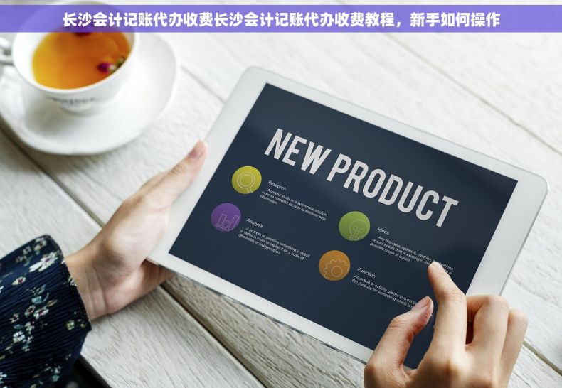 长沙会计记账代办收费长沙会计记账代办收费教程，新手如何操作