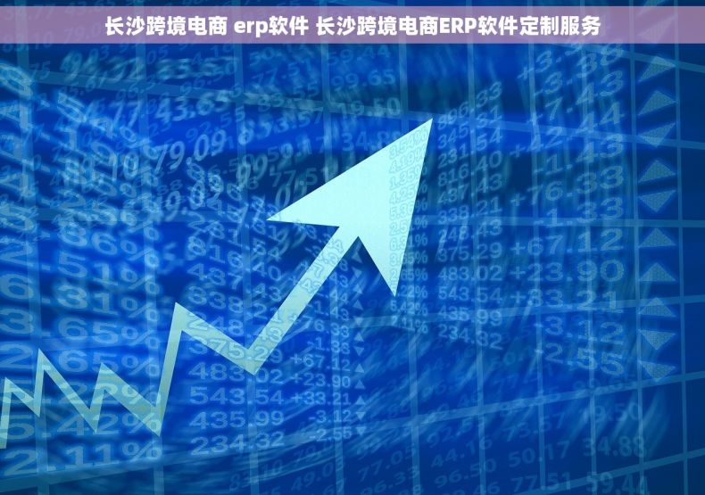 长沙跨境电商 erp软件 长沙跨境电商ERP软件定制服务