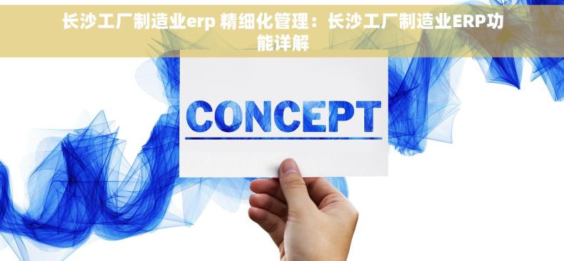 长沙工厂制造业erp 精细化管理：长沙工厂制造业ERP功能详解