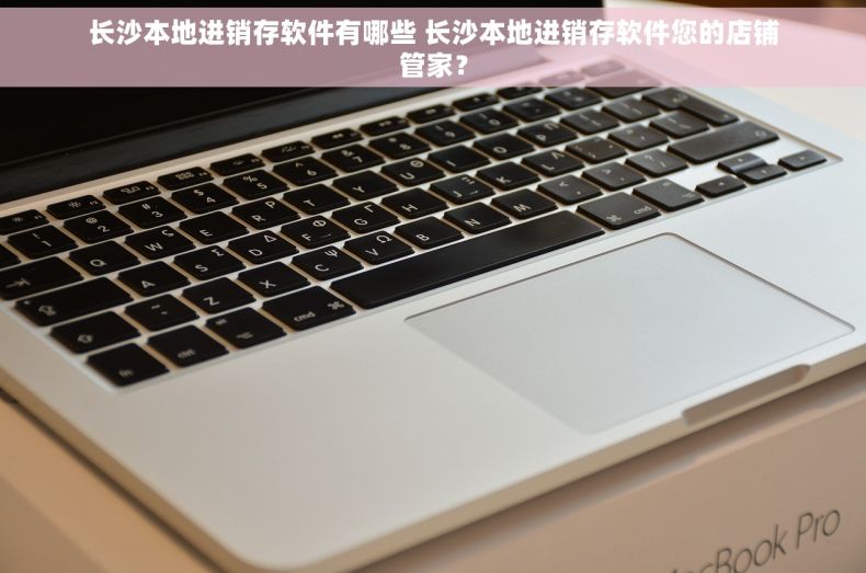 长沙本地进销存软件有哪些 长沙本地进销存软件您的店铺管家？