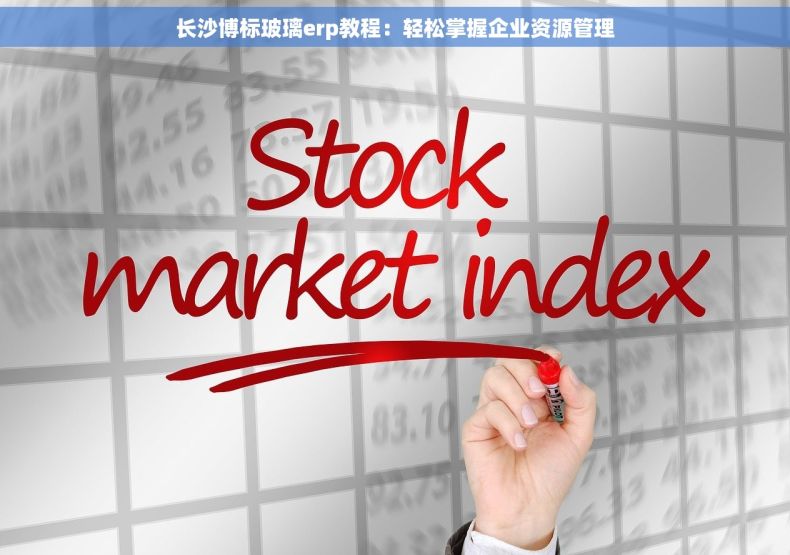 长沙博标玻璃erp教程：轻松掌握企业资源管理