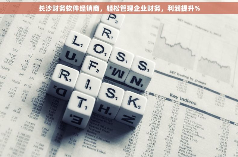 长沙财务软件经销商，轻松管理企业财务，利润提升%