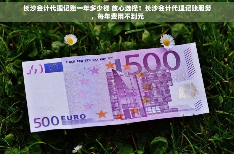 长沙会计代理记账一年多少钱 放心选择！长沙会计代理记账服务，每年费用不到元