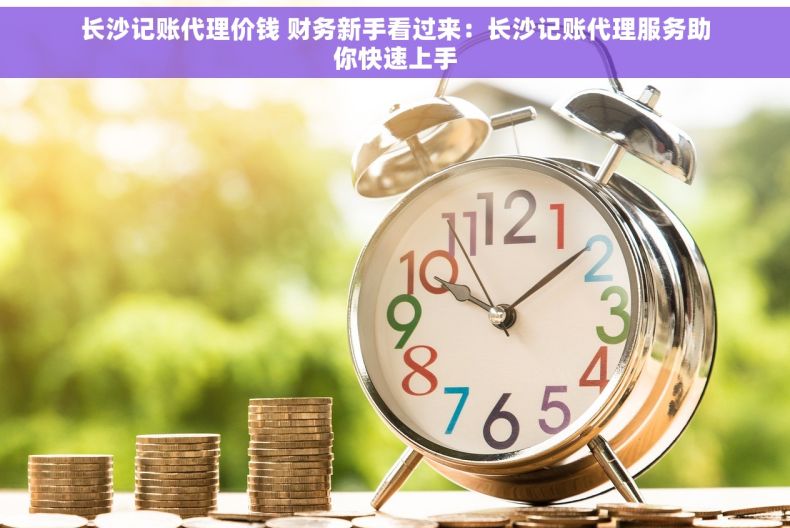 长沙记账代理价钱 财务新手看过来：长沙记账代理服务助你快速上手