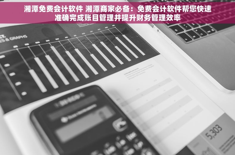 湘潭免费会计软件 湘潭商家必备：免费会计软件帮您快速准确完成账目管理并提升财务管理效率