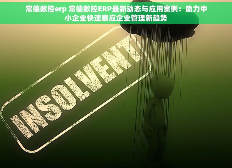 常德数控erp 常德数控ERP最新动态与应用案例：助力中小企业快速顺应企业管理新趋势