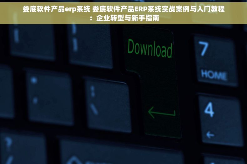 娄底软件产品erp系统 娄底软件产品ERP系统实战案例与入门教程：企业转型与新手指南