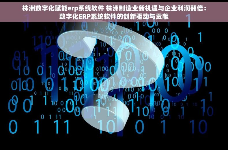 株洲数字化赋能erp系统软件 株洲制造业新机遇与企业利润翻倍：数字化ERP系统软件的创新驱动与贡献
