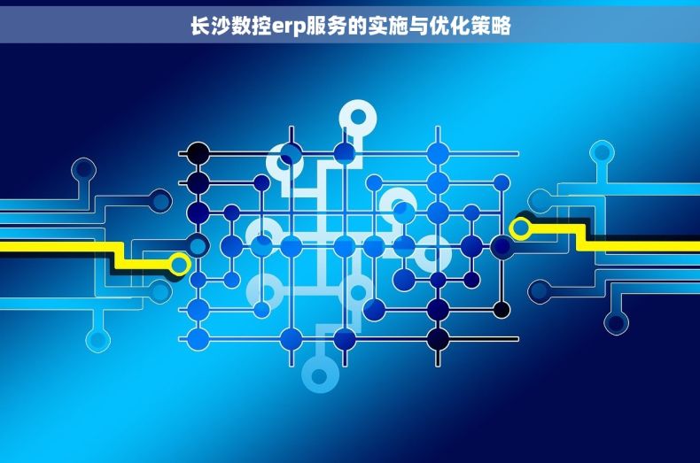 长沙数控erp服务的实施与优化策略