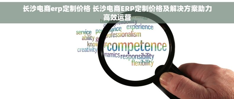 长沙电商erp定制价格 长沙电商ERP定制价格及解决方案助力高效运营