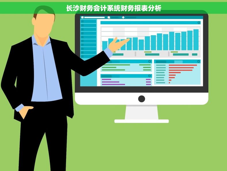长沙财务会计系统财务报表分析
