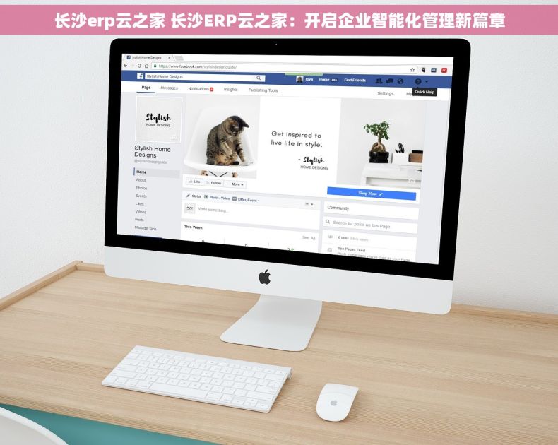 长沙erp云之家 长沙ERP云之家：开启企业智能化管理新篇章