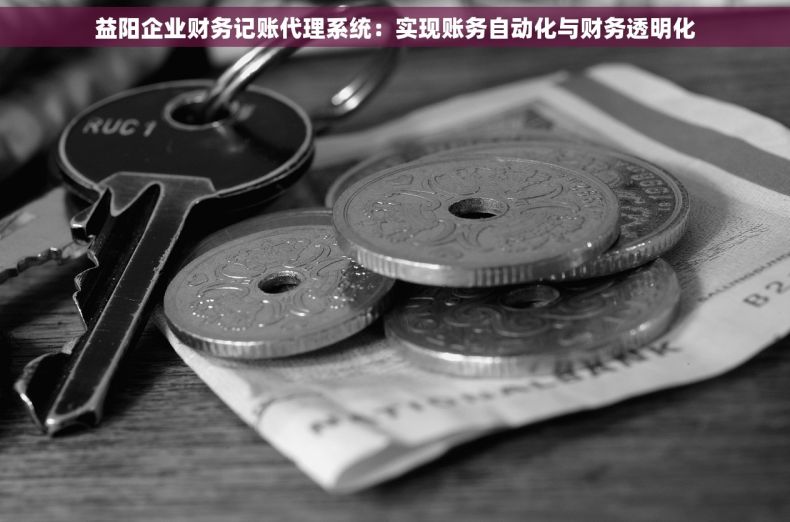 益阳企业财务记账代理系统：实现账务自动化与财务透明化