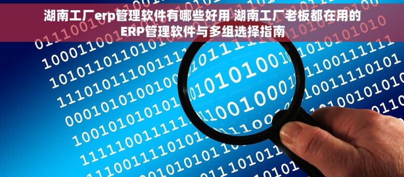 湖南工厂erp管理软件有哪些好用 湖南工厂老板都在用的ERP管理软件与多组选择指南
