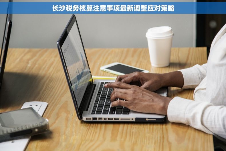 长沙税务核算注意事项最新调整应对策略