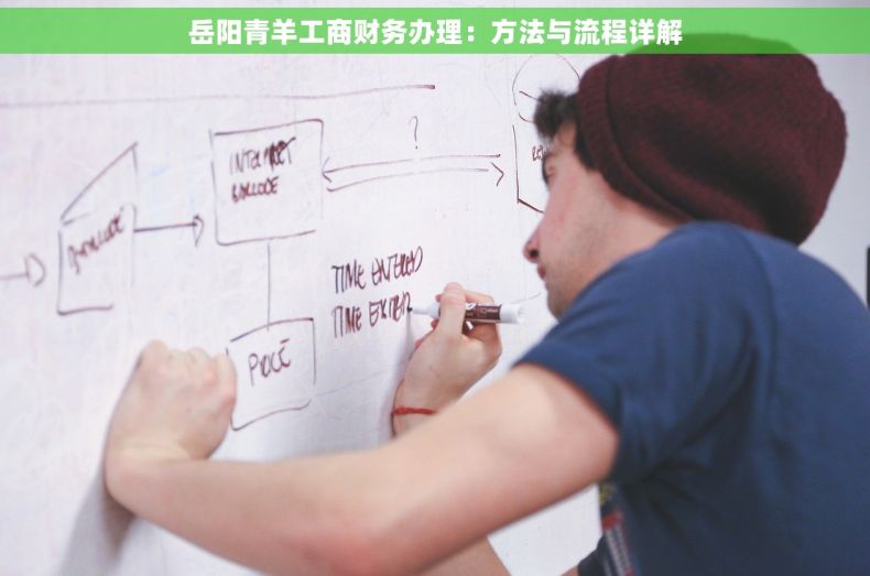 岳阳青羊工商财务办理：方法与流程详解