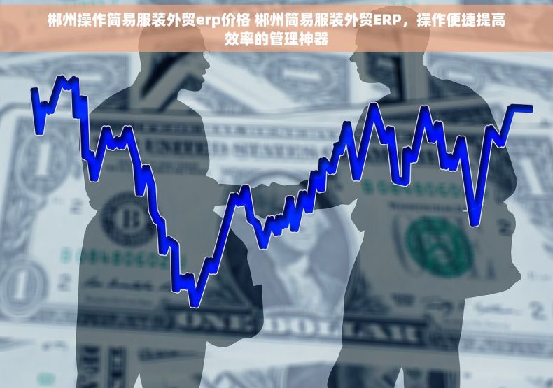 郴州操作简易服装外贸erp价格 郴州简易服装外贸ERP，操作便捷提高效率的管理神器