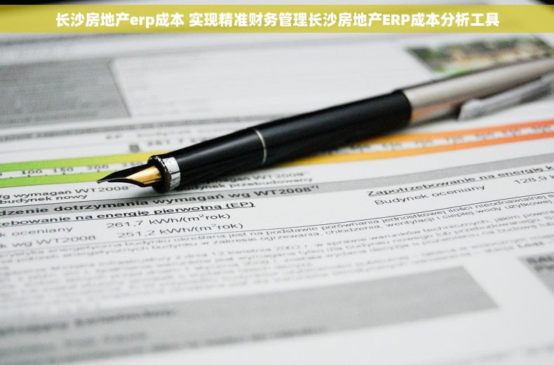 长沙房地产erp成本 实现精准财务管理长沙房地产ERP成本分析工具
