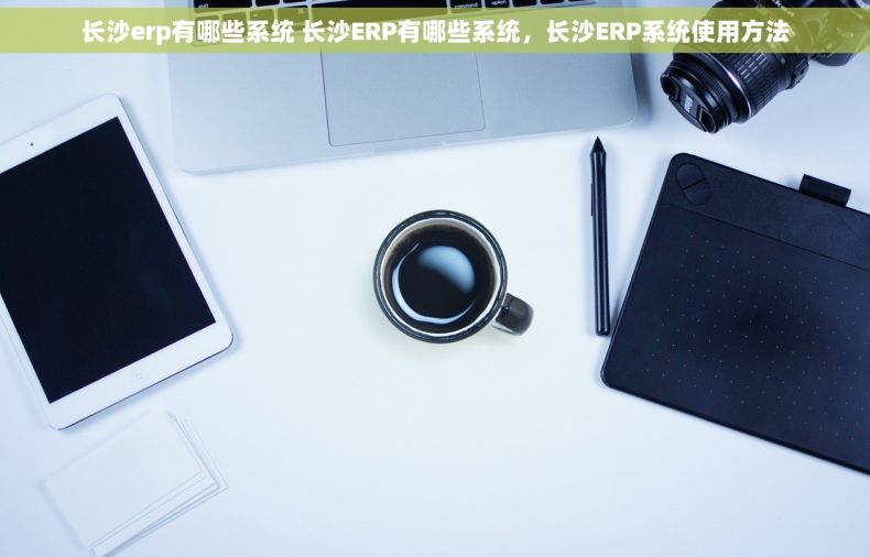长沙erp有哪些系统 长沙ERP有哪些系统，长沙ERP系统使用方法