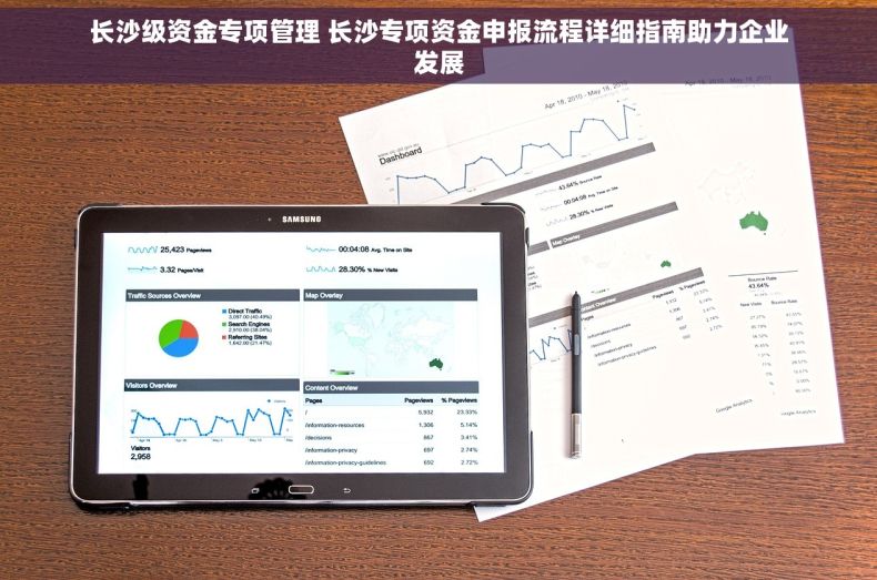 长沙级资金专项管理 长沙专项资金申报流程详细指南助力企业发展
