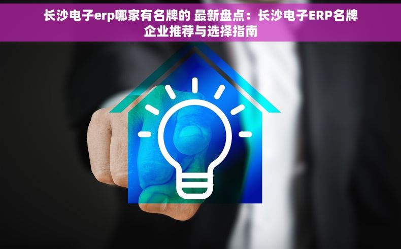 长沙电子erp哪家有名牌的 最新盘点：长沙电子ERP名牌企业推荐与选择指南