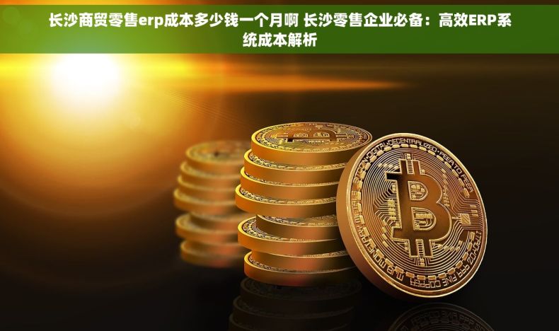 长沙商贸零售erp成本多少钱一个月啊 长沙零售企业必备：高效ERP系统成本解析