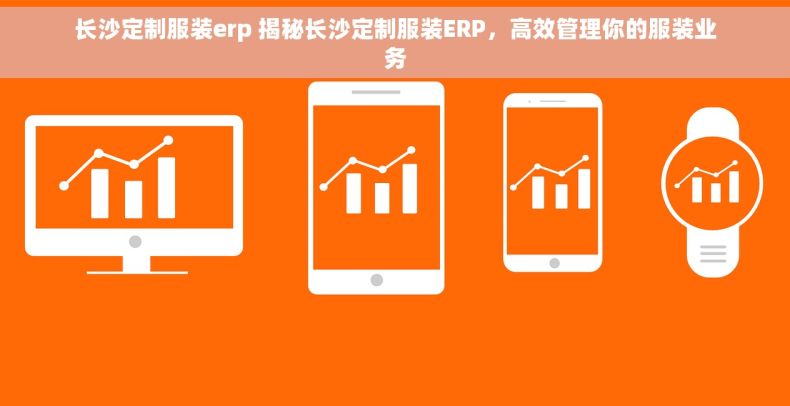 长沙定制服装erp 揭秘长沙定制服装ERP，高效管理你的服装业务