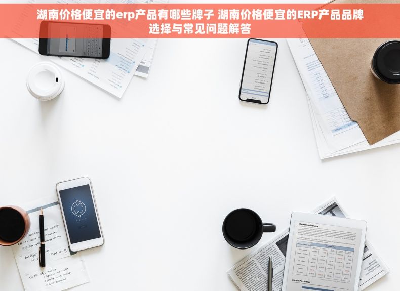 湖南价格便宜的erp产品有哪些牌子 湖南价格便宜的ERP产品品牌选择与常见问题解答