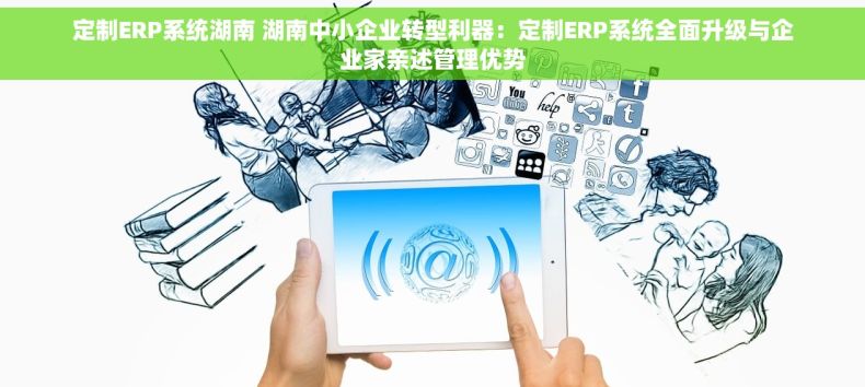 定制ERP系统湖南 湖南中小企业转型利器：定制ERP系统全面升级与企业家亲述管理优势