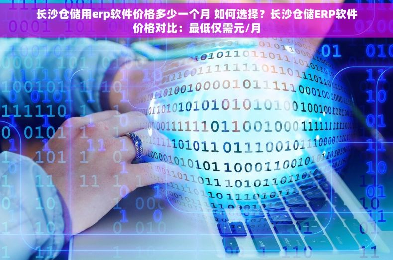 长沙仓储用erp软件价格多少一个月 如何选择？长沙仓储ERP软件价格对比：最低仅需元/月