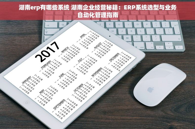 湖南erp有哪些系统 湖南企业经营秘籍：ERP系统选型与业务自动化管理指南