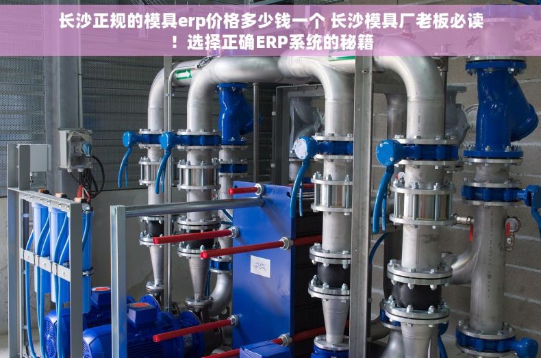 长沙正规的模具erp价格多少钱一个 长沙模具厂老板必读！选择正确ERP系统的秘籍