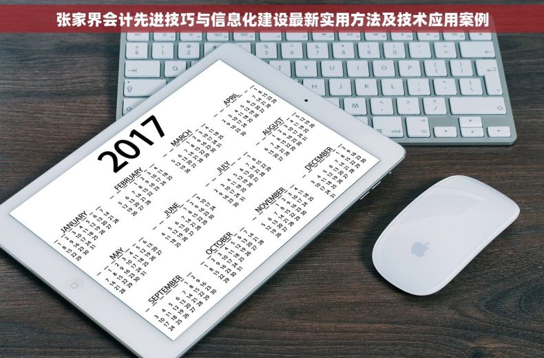 张家界会计先进技巧与信息化建设最新实用方法及技术应用案例